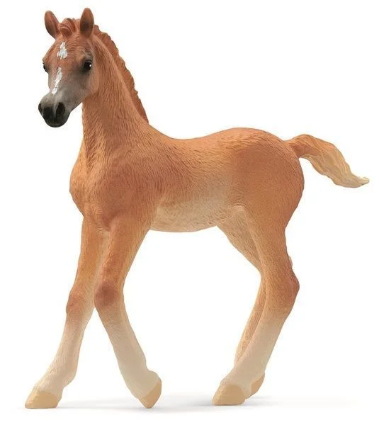 33-2202610270205191517834