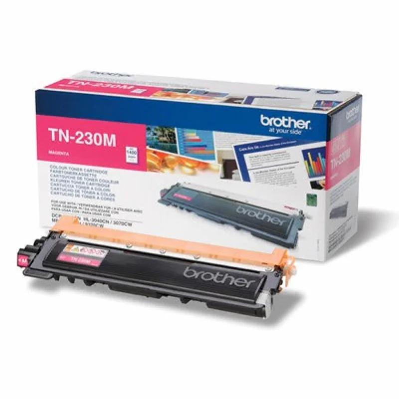 bomba-220261024005323742245